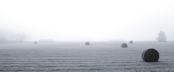 Hay rolls with fog and frost