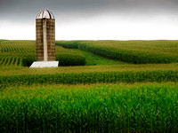 Corn and silo