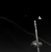 Minimalism
